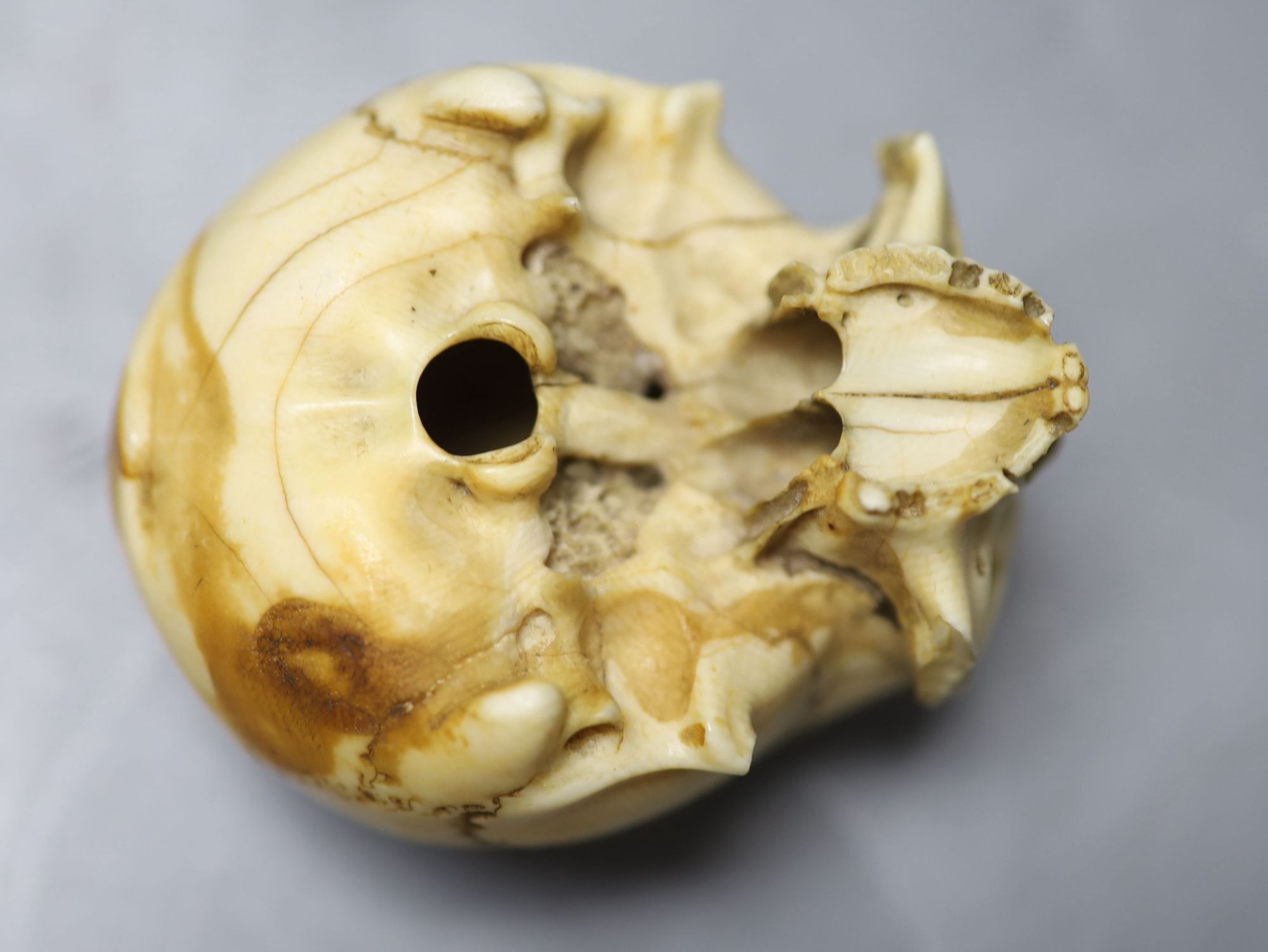 A 19th century ivory model of a human skull, height 5cm, 7cm long, lower jaw lacking